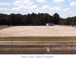 Live Oaks Project